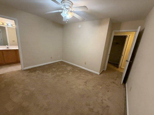 Gallery Photo 25